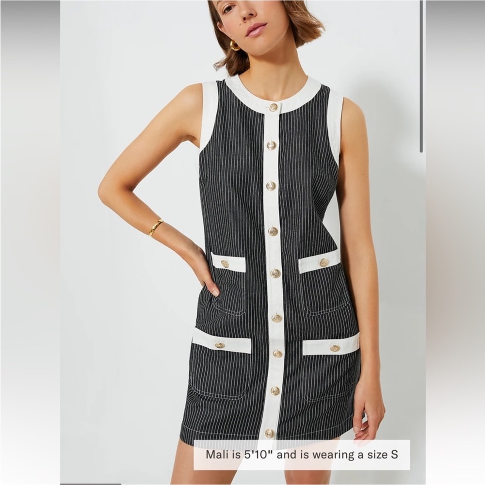 Tuckernuck Black and White Pinstripe Sleeveless Button-Front Dress
